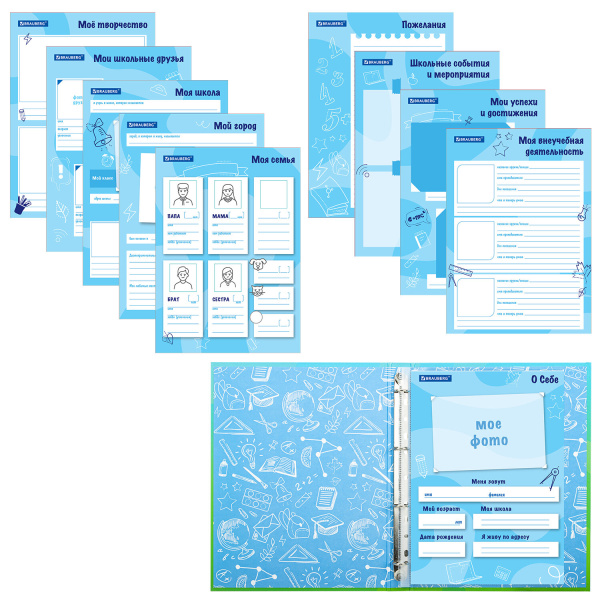 Папка-портфолио школьника "ОТЛИЧНИК", 4 кольца, 20 файлов, 10 вкладышей, 7БЦ матовая, BRAUBERG, 115240 - Портфолио