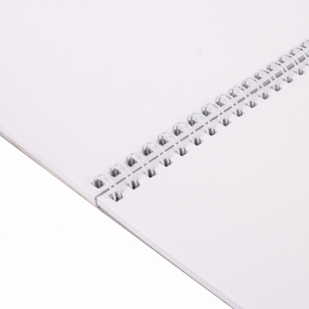 Альбом для рисования, А4, 40 листов, гребень, выборочный лак, подложка, 120 г/м2, BRAUBERG, 205х290 мм, "Картина" (2 вида), 102834 - Альбомы и папки для рисования