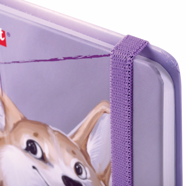 Скетчбук, белая бумага 80 г/м2, 145х203 мм, 80 л., резинка, твердый, BRAUBERG ART DEBUT "Корги", 114579 - Альбомы, скетчбуки и бумага для графики и эскизов