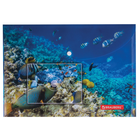 Папка-конверт с кнопкой BRAUBERG "SEA WORLD", А4, 160 мкм, до 100 листов, цветная печать, 228041 - Папки-конверты с кнопкой