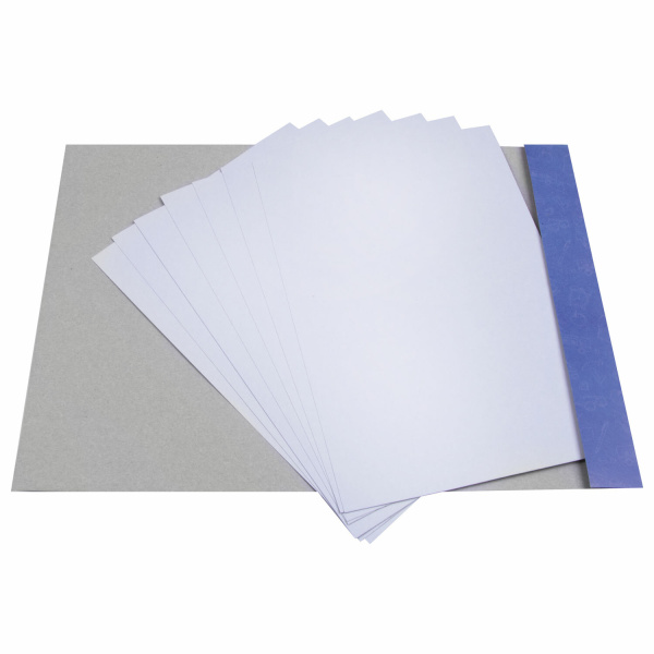 Картон белый А4 немелованный (матовый), 8 листов, в папке, ПИФАГОР, 200х290 мм, "Пингвин-рыболов", 129905 - Цветной и белый картон