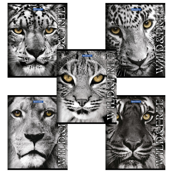 Тетрадь А5, 48 л., BRAUBERG скоба, клетка, обложка картон, ДИКИЕ И СВОБОДНЫЕ, 1 шт, 401810