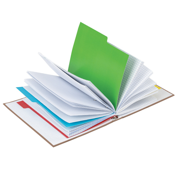 Тетрадь на кольцах А5 (175х215 мм), 240 листов, твердый картон, клетка, с разделителями, BRAUBERG, Cool Girl, 404100 - Тетради на кольцах и сменные блоки к ним