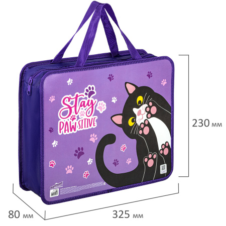 Папка на молнии с ручками ЮНЛАНДИЯ А4, 1 отделение, пластик, ширина 80 мм, "Stay Positive", 271460 - Папки-сумки с ручками