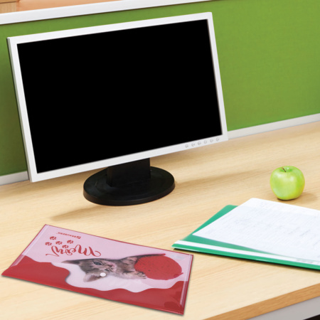 Папка-конверт с кнопкой BRAUBERG "FUNNY CAT", А4, 160 мкм, цветная печать, 228038 - Папки-конверты с кнопкой