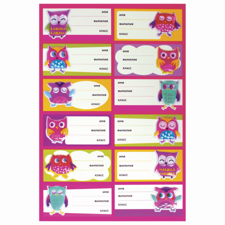 Наклейки для маркировки школьных принадлежностей "Совы", 12 штук, 14х21 см, ЮНЛАНДИЯ, 662710 - Наклейки