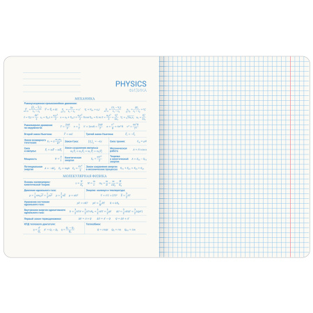 Тетрадь предметная со справочным материалом ORIGINAL 48 л., TWIN лак, ФИЗИКА, клетка, BRAUBERG, 404307 - Тетради предметные