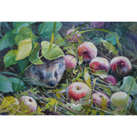 Картина стразами (алмазная мозаика) 30х40 см, ОСТРОВ СОКРОВИЩ "Ёжик", без подрамника, 662564 - Алмазная вышивка