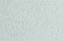 Бумага для пастели TIZIANO 160г/кв.м 500х650мм цв.№32 белый иней - Альбомы и бумага для пастели
