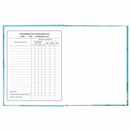 Дневник 1-4 класс 48 л., твердый, BRAUBERG, глянцевая ламинация, с подсказом, "Милые Коалы", 106358 - Дневники для младших классов