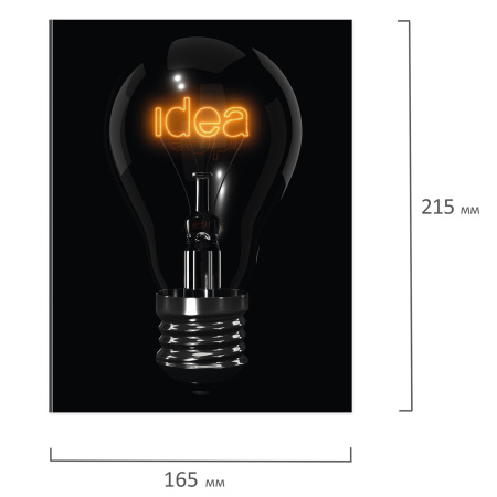 Тетрадь на кольцах А5 (165х215 мм), 160 листов, твердый картон, клетка, BRAUBERG, Idea, 404091 - Тетради на кольцах и сменные блоки к ним