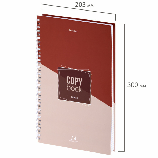 Тетрадь А4, 120 л., BRAUBERG, гребень, клетка, обложка твердая, "Office", 404073 - Тетради формата А4