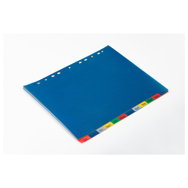 Разделитель пластиковый широкий BRAUBERG, А4+, 12 листов, Январь-Декабрь, оглавление, цветной, 225625 - Разделители