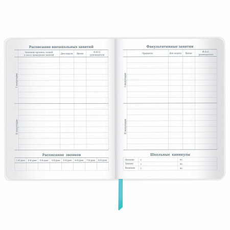 Дневник 1-11 класс 48 л., кожзам (гибкая), термотиснение, фольга, BRAUBERG, "Авокадо", 106167 - Дневники универсальные