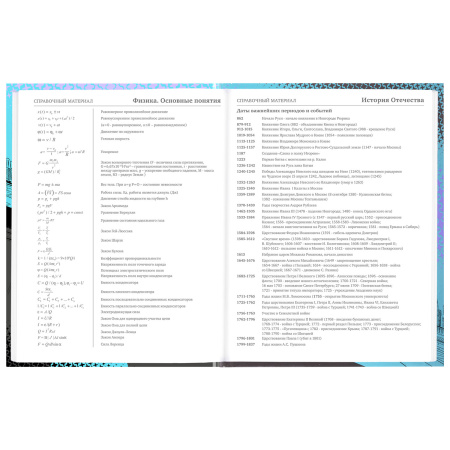 Дневник 5-11 класс 48 л., твердый, BRAUBERG, глянцевая ламинация, с подсказом, "Race Car", 106624 - Дневники для старших классов