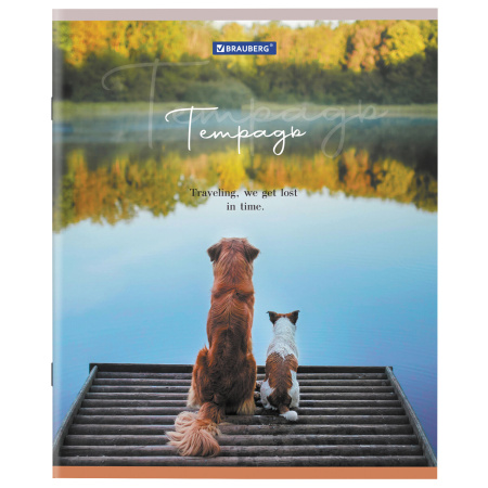 Тетрадь А5 48 л. BRAUBERG скоба, клетка, обложка картон, "Best Friends" (микс в спайке), 404360 - Тетради 40-48 листов
