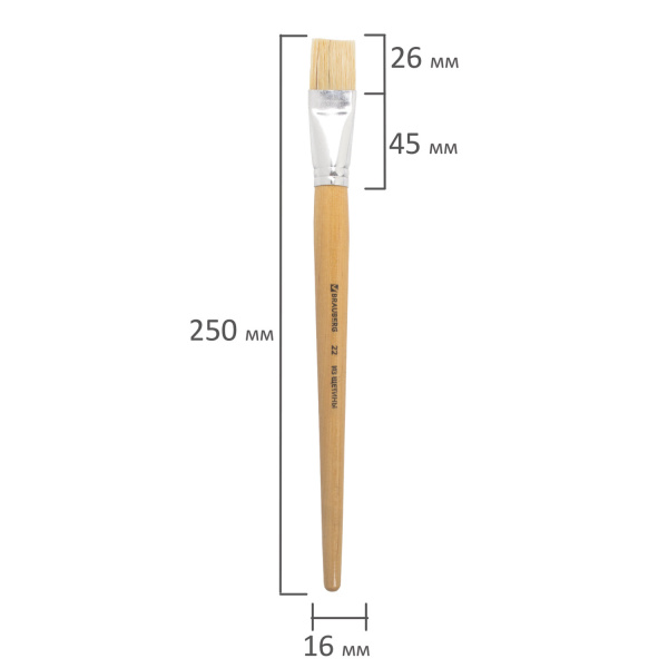 Кисть BRAUBERG, щетина, плоская, № 22, 200207 - Кисти для рисования