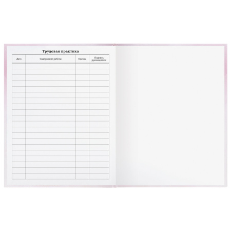 Дневник 1-11 класс 48 л., твердый, BRAUBERG, глянцевая ламинация, с подсказом, "Совушка", 106601 - Дневники для младших классов