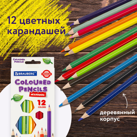 Карандаши цветные BRAUBERG PREMIUM, 12 цветов, шестигранные, грифель мягкий 3,3 мм, 181656 - Карандаши цветные