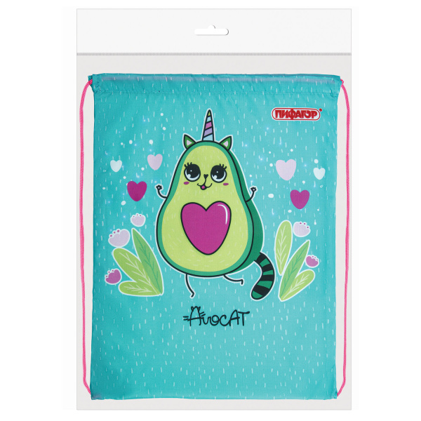 Мешок для обуви ПИФАГОР, 1 отделение, 40х32 см, "Avocat", 271597 - Мешки для обуви