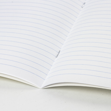 Тетрадь 24 л. BRAUBERG КЛАССИКА NEW линия, обложка картон, АССОРТИ (5 видов), 105704 - Тетради 12-24 листов