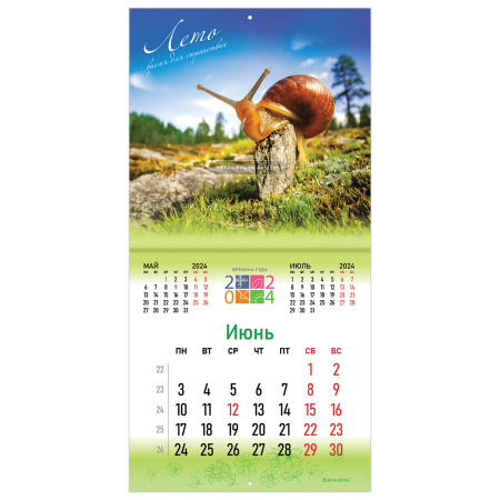 Календарь настенный перекидной на 2024 г., BRAUBERG, 12 листов, 29х29 см, "Четыре сезона", 115318 - Календари настенные