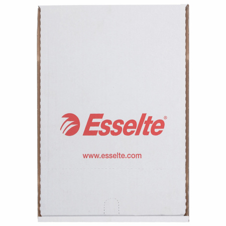 Папки-файлы перфорированные, А4, ESSELTE "Standard", комплект 100 шт., глянцевые, 55 мкм, 56066 - Папки перфорированные