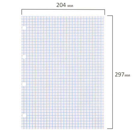 Сменный блок к тетради на кольцах БОЛЬШОГО ФОРМАТА А4, 120 л., BRAUBERG, Белый, 404518 - Тетради на кольцах и сменные блоки к ним