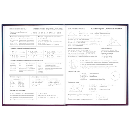 Дневник 5-11 класс 48 л., твердый, BRAUBERG, глянцевая ламинация, с подсказом, "Spaceman", 106407 - Дневники для старших классов