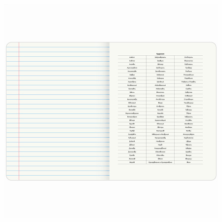 Тетрадь предметная "КОТ-ЭНТУЗИАСТ" 48 л., TWIN-лак, РУССКИЙ ЯЗЫК, линия, подсказ, BRAUBERG, 404565 - Тетради предметные