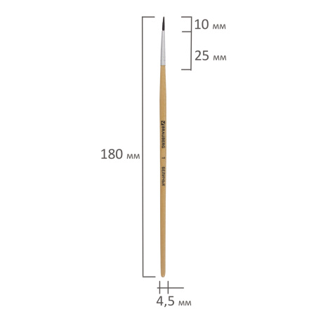 Кисть BRAUBERG, белка, круглая, № 1, 200178 - Кисти для рисования