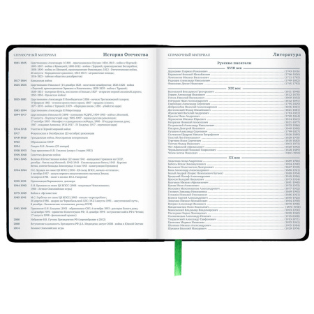 Дневник 1-11 класс 48 л., кожзам (твердая с поролоном), флуоресцентный, BRAUBERG, "Коала", 106199 - Дневники универсальные