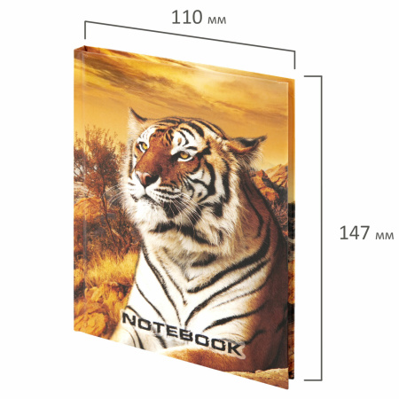 Блокнот МАЛЫЙ ФОРМАТ 110х147 мм А6, 80 л., твердый переплет, ламинированная обложка, клетка, STAFF, "Тигровый", 120949 - Блокноты в книжном переплете