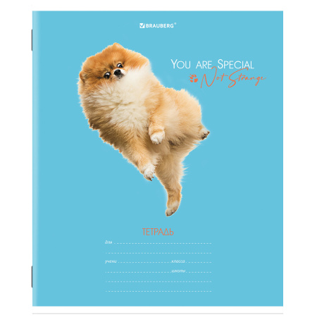Тетрадь 18 л. BRAUBERG линия, обложка картон, "СОБАЧКИ", 106481 - Тетради 12-24 листов