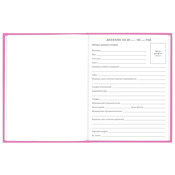 Дневник 1-11 класс 48 л., твердый, BRAUBERG, глянцевая ламинация, с подсказом, "Ice cream party", 106602 - Дневники для младших классов