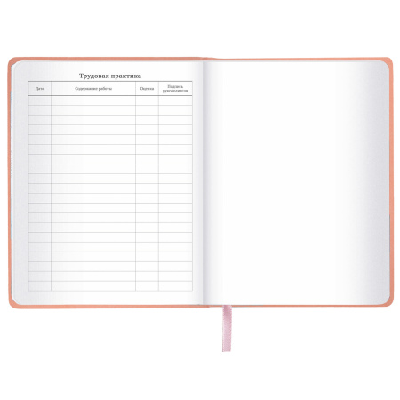 Дневник 1-11 класс 48 л., кожзам (твердая с поролоном), тиснение, аппликация, BRAUBERG, "Smart Cat", 106206 - Дневники универсальные