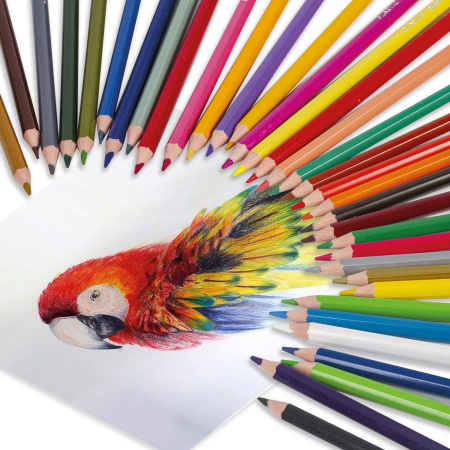 Карандаши цветные BRAUBERG PREMIUM, 36 цветов, пластиковые, шестигранные, грифель мягкий 3 мм, 181669 - Карандаши цветные