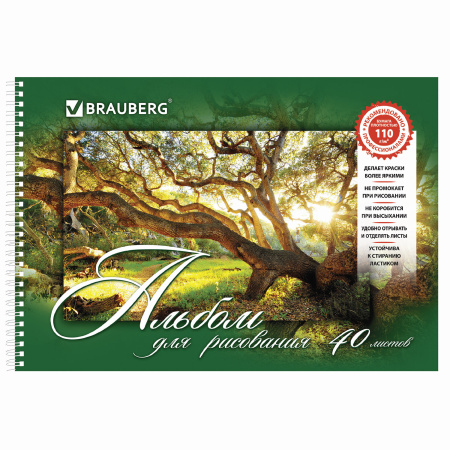 Альбомы для рисования А4 40 л., КОМПЛЕКТ 4 шт., гребень, обложка картон, BRAUBERG, 205х290 мм, "Природа" (2 вида), 880035 - Альбомы и папки для рисования