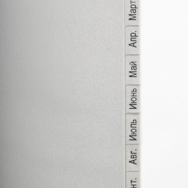 Разделитель пластиковый BRAUBERG, А4, 12 листов, Январь-Декабрь, оглавление, серый, РОССИЯ, 225599 - Разделители