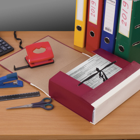 Папка для бумаг архивная А4 (225х310 мм), 80 мм, 4 завязки, бумвинил, корешок - коленкор, 123200 - Папки картонные с завязками