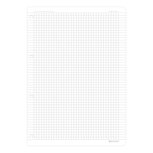 Сменный блок для тетради на кольцах БОЛЬШОЙ ФОРМАТ А4 120 л., BRAUBERG, ПОВЫШЕННОЙ ПЛОТНОСТИ, белый, 404516 - Тетради на кольцах и сменные блоки к ним
