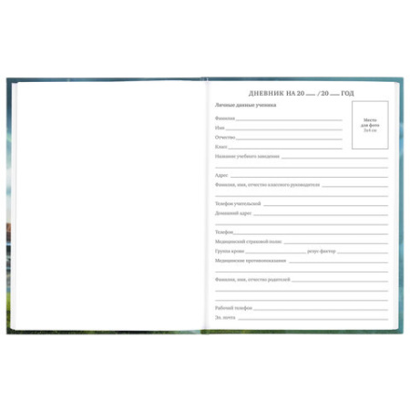 Дневник 5-11 класс 48 л., твердый, BRAUBERG, глянцевая ламинация, с подсказом, "Футбол", 106633 - Дневники для старших классов