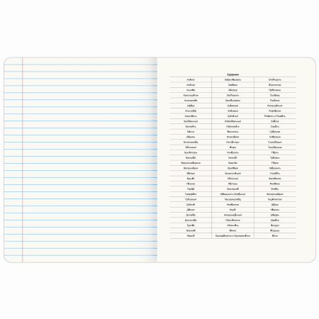 Тетрадь предметная "PASTEL" 48 л., SoftTouch, фольга, РУССКИЙ ЯЗЫК, линия, BRAUBERG, 404318 - Тетради предметные