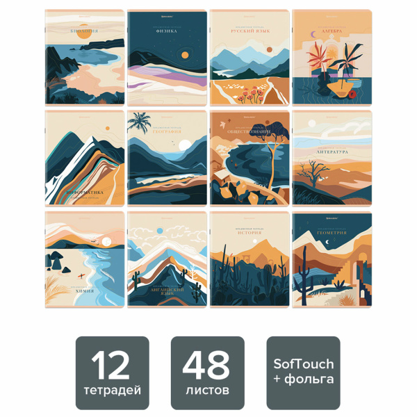 Тетради предметные, КОМПЛЕКТ 12 ПРЕДМЕТОВ, "ELEGANCE", 48 л., SoftTouch, фольга, BRAUBERG, 404611 - Тетради предметные