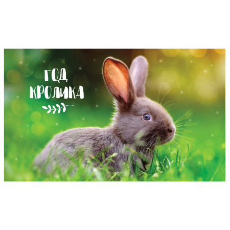 Календарь квартальный с бегунком 2023 г., 3 блока, 4 гребня, УльтраЛюкс, "Год Кролика", HATBER, 3Кв4гр2ц_27154 - Календари настенные