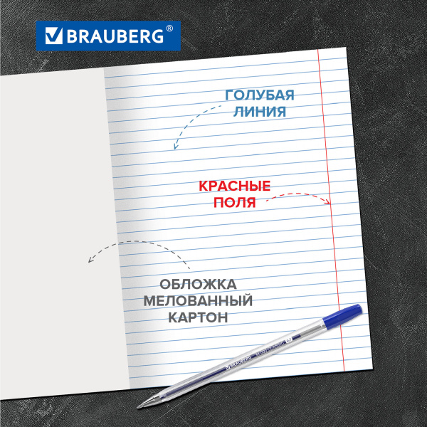 Тетради 24 л. КОМПЛЕКТ 20 шт. BRAUBERG "EXTRA", линия, плотная бумага 80 г/м2, обложка картон, 880073 - Тетради 12-24 листов