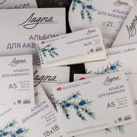 Бумага для акварели "Ладога", 300 г/м2, 50х65 см, 100% хлопок, 10 листов, крупное зерно - Альбомы и бумага для акварели и масла