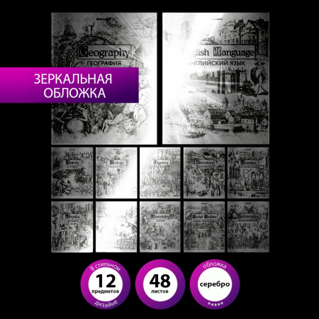 Тетради предметные, КОМПЛЕКТ 12 ПРЕДМЕТОВ, "SILVER", 48 листов, с серебряной обложкой, BRAUBERG, 404034 - Тетради предметные