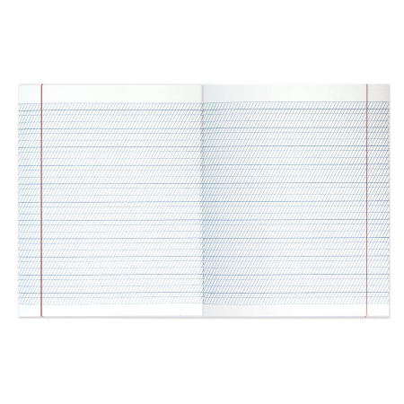 Тетради 12 л. КОМПЛЕКТ 20 шт. BRAUBERG "КЛАССИКА NEW", частая косая с дополнительной горизонтальной, ЗЕЛЕНАЯ, 880057 - Тетради 12-24 листов