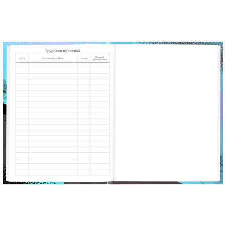 Дневник 5-11 класс 48 л., твердый, BRAUBERG, глянцевая ламинация, с подсказом, "Race Car", 106624 - Дневники для старших классов